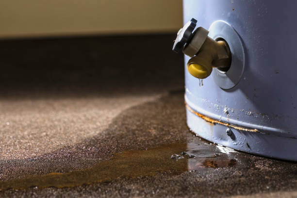Best Fire Damage Restoration  in Gainesville, FL