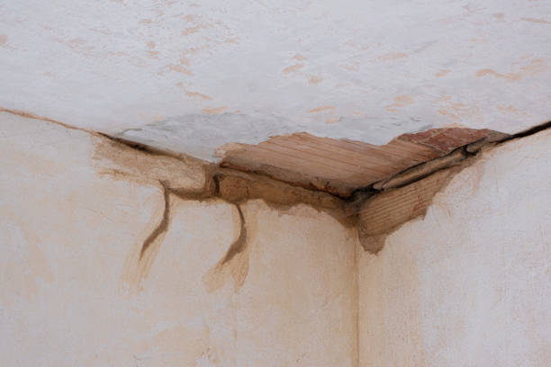  Gainesville, FL Water damage restoration Pros