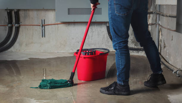 Best Water damage contractors near me  in Gainesville, FL