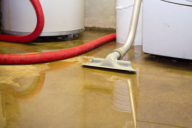 Best Residential water damage restoration  in Gainesville, FL