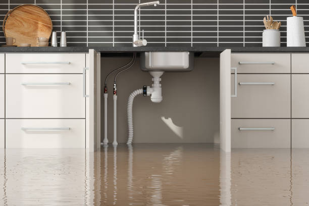 24/7 water damage repair in Gainesville, FL