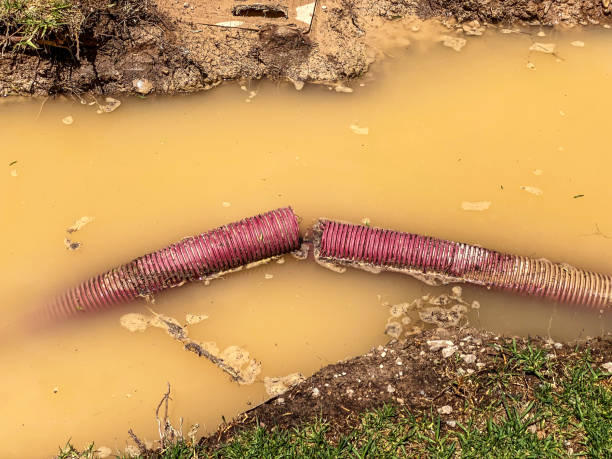 Best Emergency water damage restoration  in Gainesville, FL