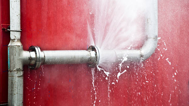 Best Professional water damage repair  in Gainesville, FL
