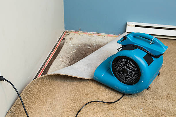 Best Commercial water damage restoration  in Gainesville, FL